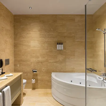 Crowne Plaza Tuzla Viaport Marina By Ihg 4* Istambul